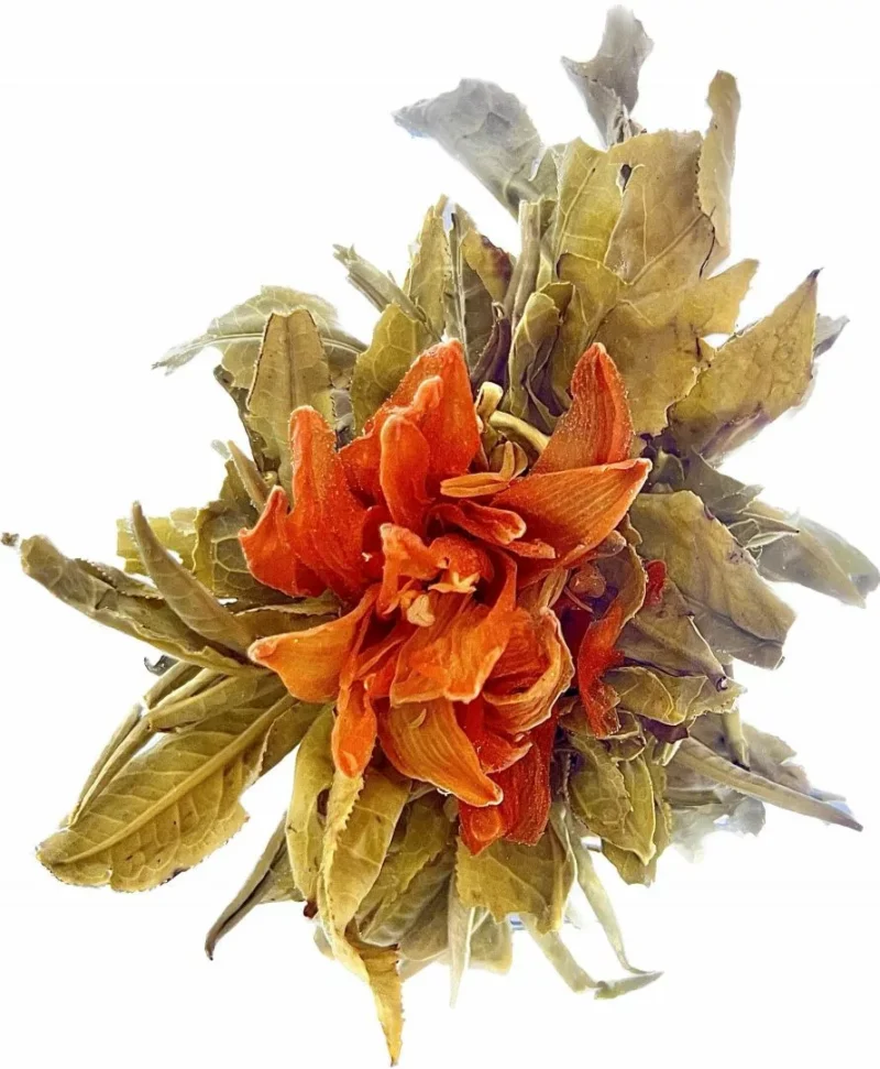 Herbata kwitnąca Lilly Fairy 1 szt. - obrazek 3